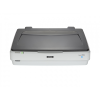 Офисный сканер Epson Expression 12000XL (B11B240401)